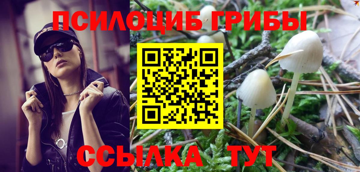 сколько стоит  Галлюциногенные грибы мицелий  Вход с VPN  Элиста 