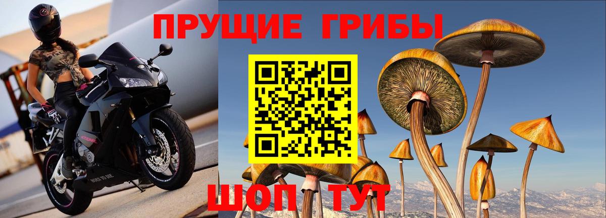 Экстази Элиста